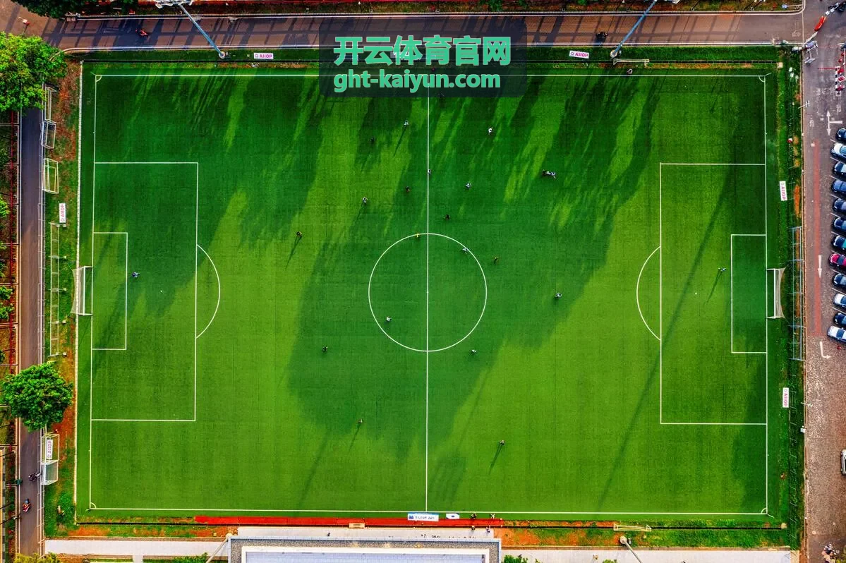 开云体育官网高级会员数据面板升级