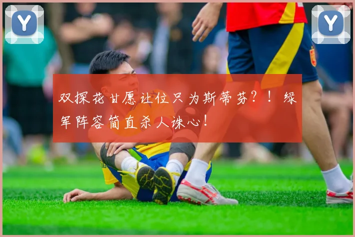 双探花甘愿让位只为斯蒂芬？！绿军阵容简直杀人诛心！