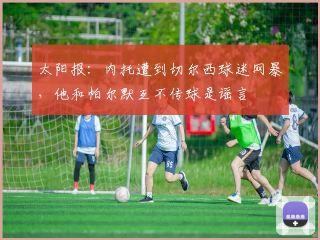 太阳报：内托遭到切尔西球迷网暴，他和帕尔默互不传球是谣言