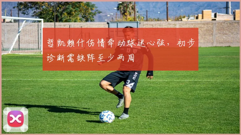 哲凯赖什伤情牵动球迷心弦，初步诊断需缺阵至少两周